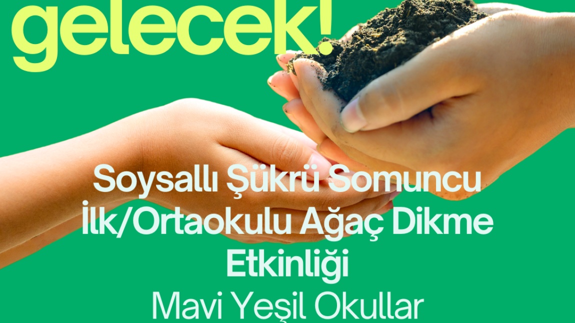 MAVİ YEŞİL OKUL PROJESİ